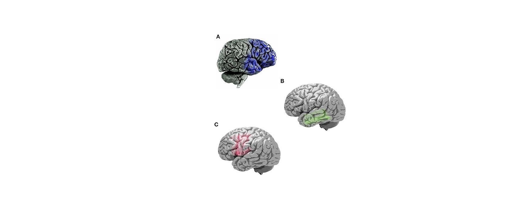 Fpsyt 10 00075 G001