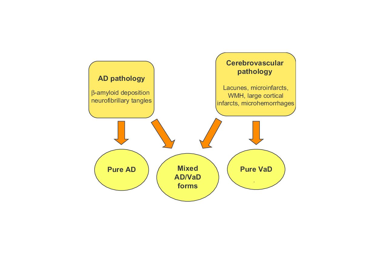 Nterconnected Relationship Between Cerebrovascular Disease And Alzheimers Disease Ad