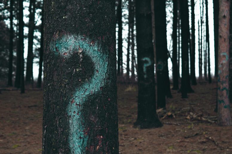 Evan Dennis I In3cvejg Unsplash