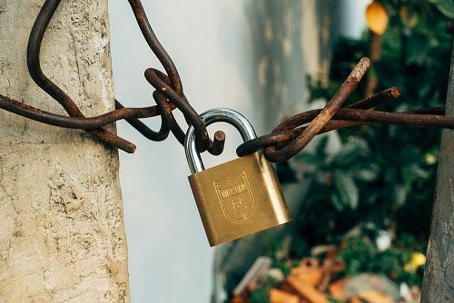 Markus Winkler Ojsg0e Qcbo Unsplash